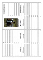 Faltbuch-Königspinguin.pdf